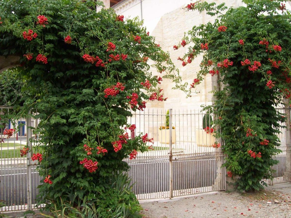Chateau La Gentilhommiere Du Puits Notre-Dame 30 Rue De L'Eglise 24110 Saint Leon Sur L'Isle 외부 사진